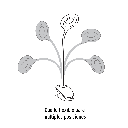 LAMPARA ESCRITORIO LED 4 W RECARGABLE C/CLIP, 3 INTENSIDADES