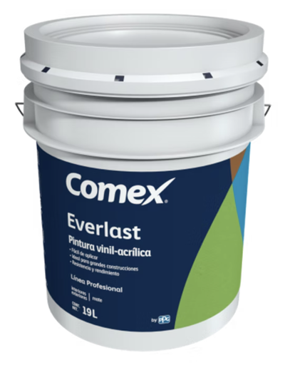 [PPGPVECH] PINTURA VINILICA EVERLAST COLOR HINDU 19 L