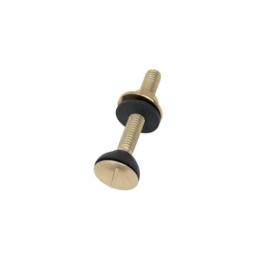 [49331] BOLSA CON 2 TORNILLOS 5/16' X 70 MM PARA TANQUE DE WC A BASE